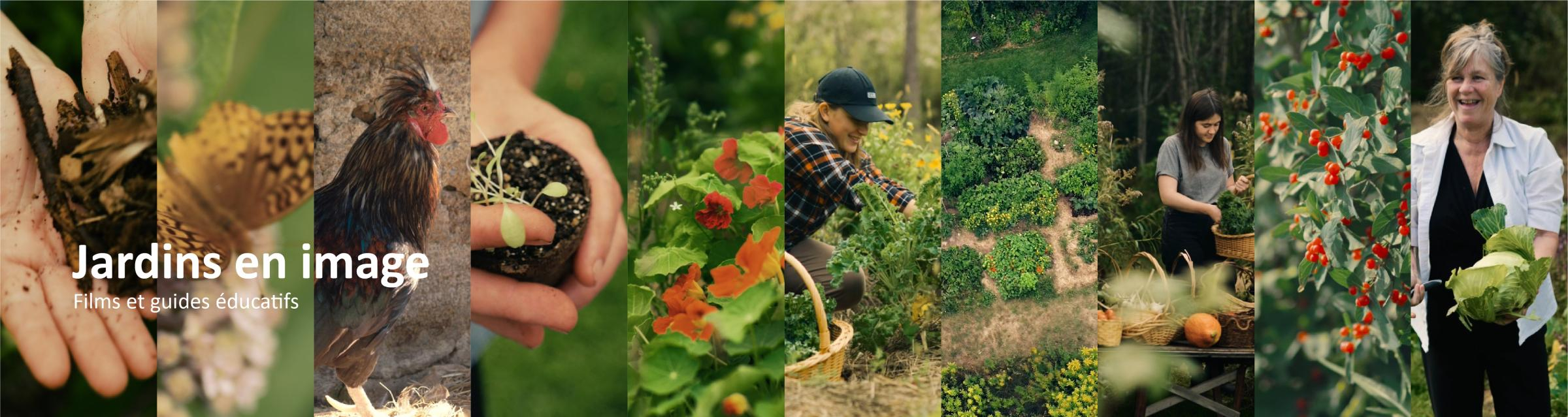 Photo et Texte Jardins en image